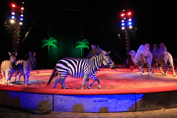 Krone2011   133.jpg